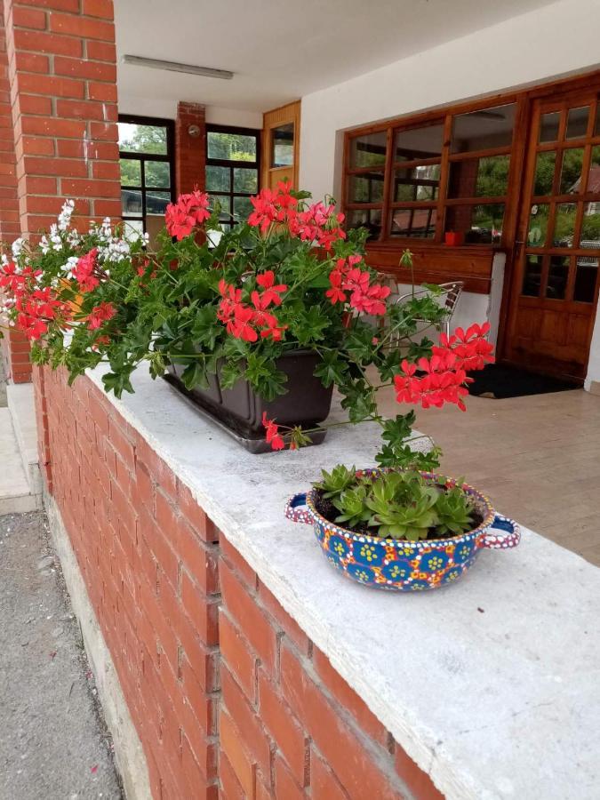 Apartman Dunja I Milos Mokra Gora Exteriér fotografie