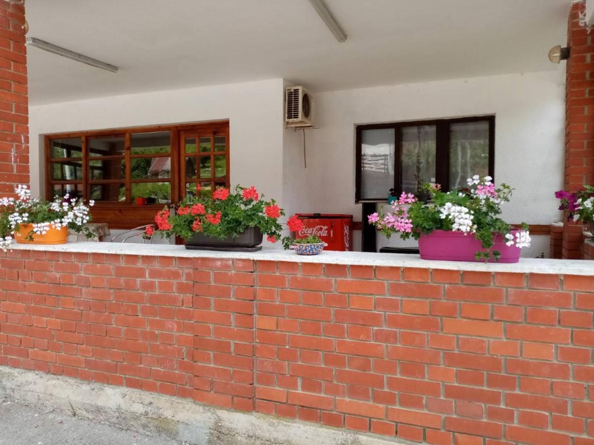 Apartman Dunja I Milos Mokra Gora Exteriér fotografie