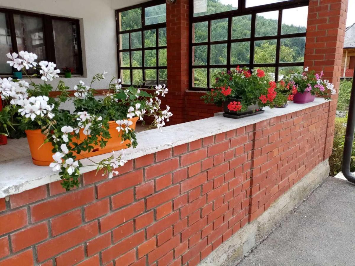 Apartman Dunja I Milos Mokra Gora Exteriér fotografie