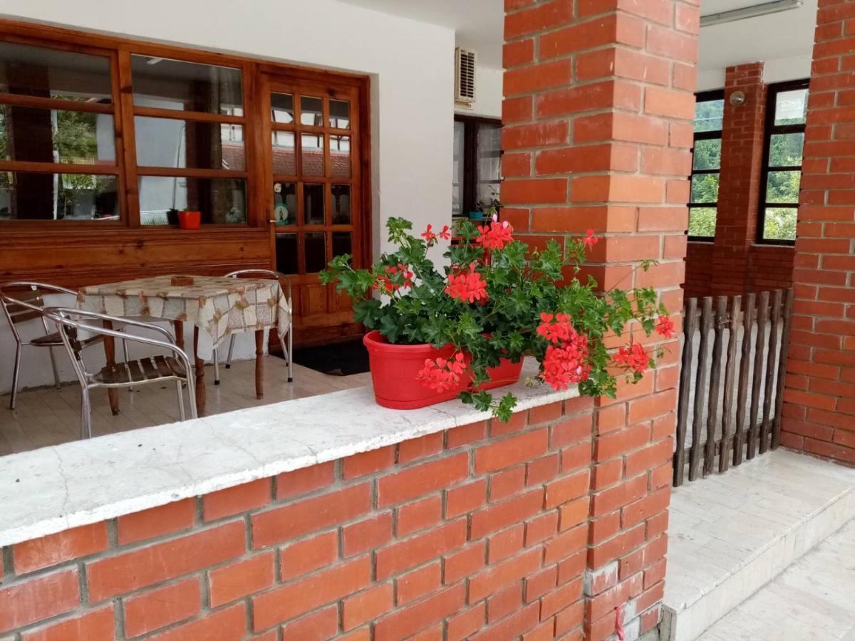 Apartman Dunja I Milos Mokra Gora Exteriér fotografie